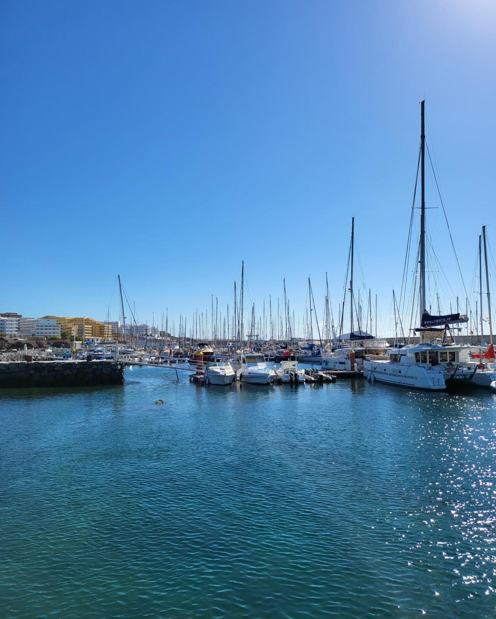 Lovely Apartment Top Views, Heated Pool, Great Location Σαν Μιγκέλ ντε Αμπόνα Εξωτερικό φωτογραφία