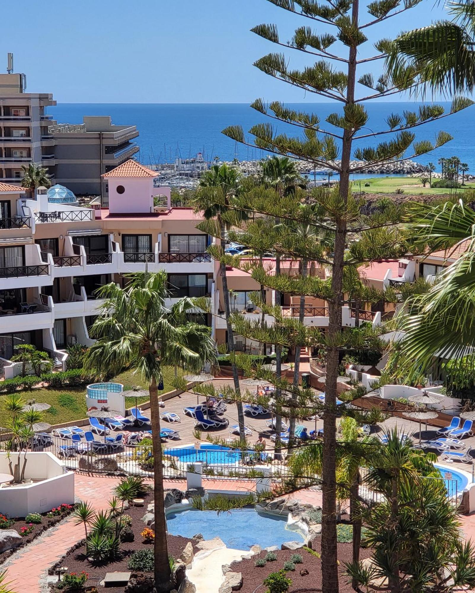 Lovely Apartment Top Views, Heated Pool, Great Location Σαν Μιγκέλ ντε Αμπόνα Εξωτερικό φωτογραφία