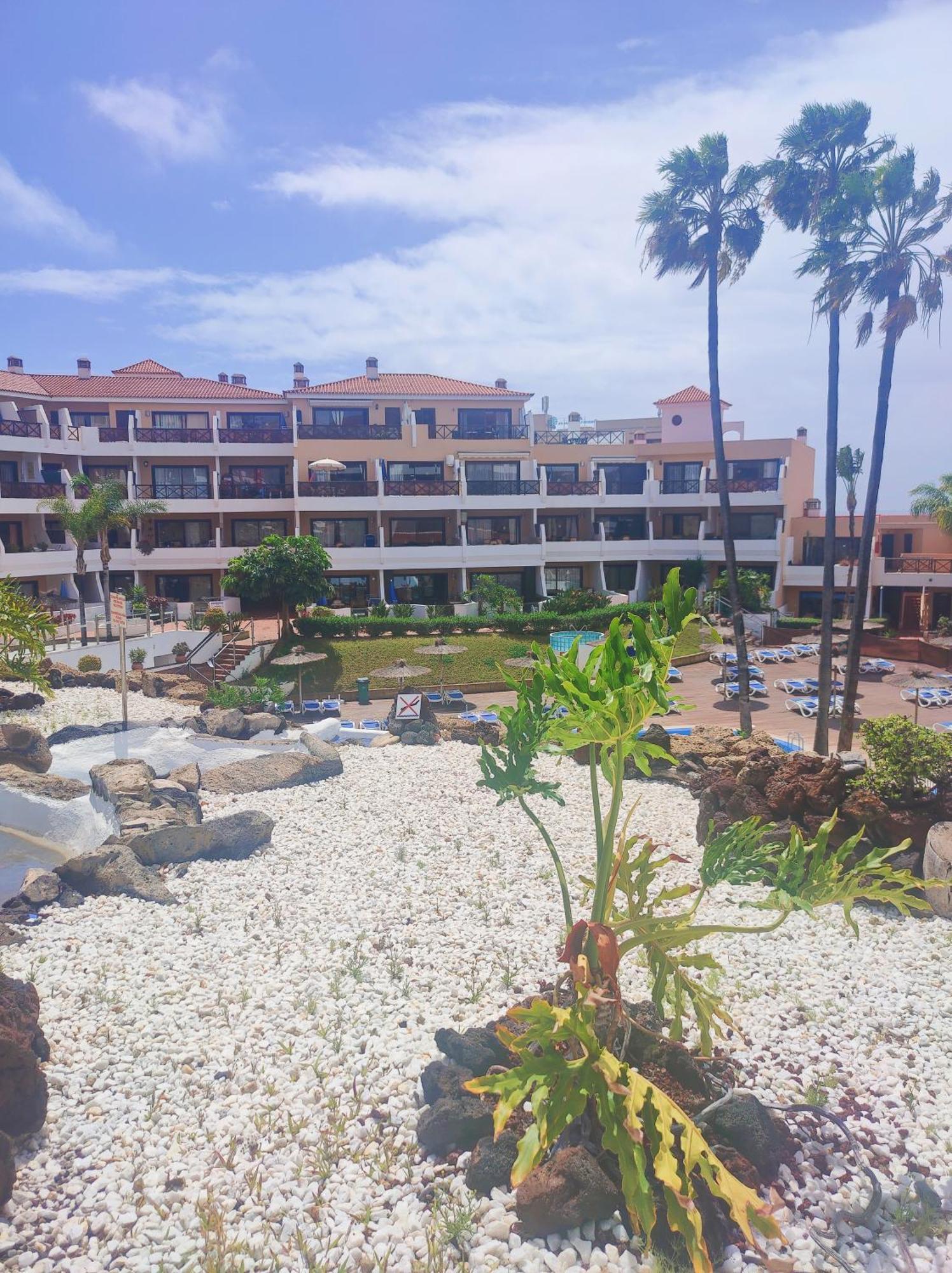 Lovely Apartment Top Views, Heated Pool, Great Location Σαν Μιγκέλ ντε Αμπόνα Εξωτερικό φωτογραφία